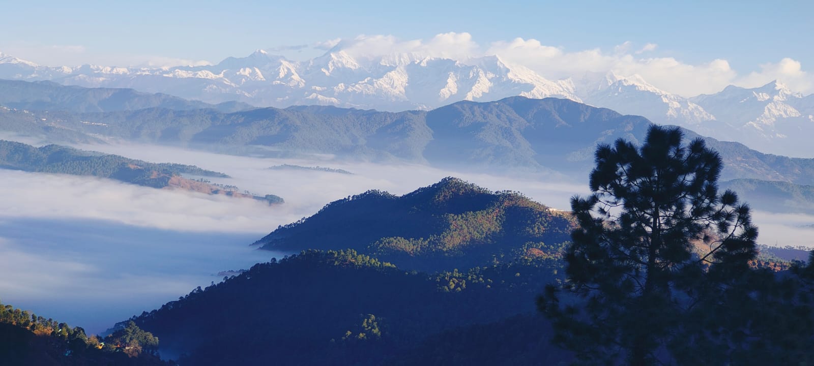 Himalayan view